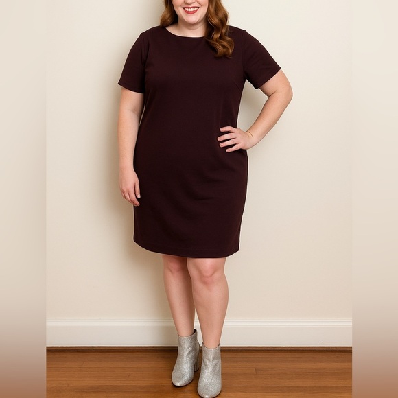 Prologue Dresses & Skirts - Prologue Women's Textured Knit Puff Short Sleeve Round Neck Dress Maroon Brown L